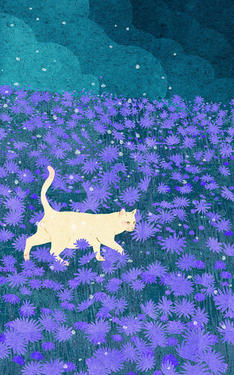 animal artwork cartoon Cat digital illustration Drawing  painting (3).jpg