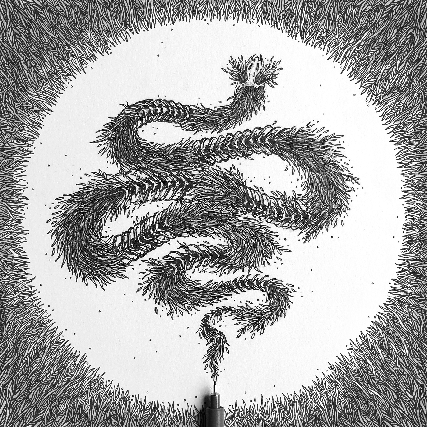 Whale FOX snake leaves animals art sketch inktober Drawing  penwork (2).jpg