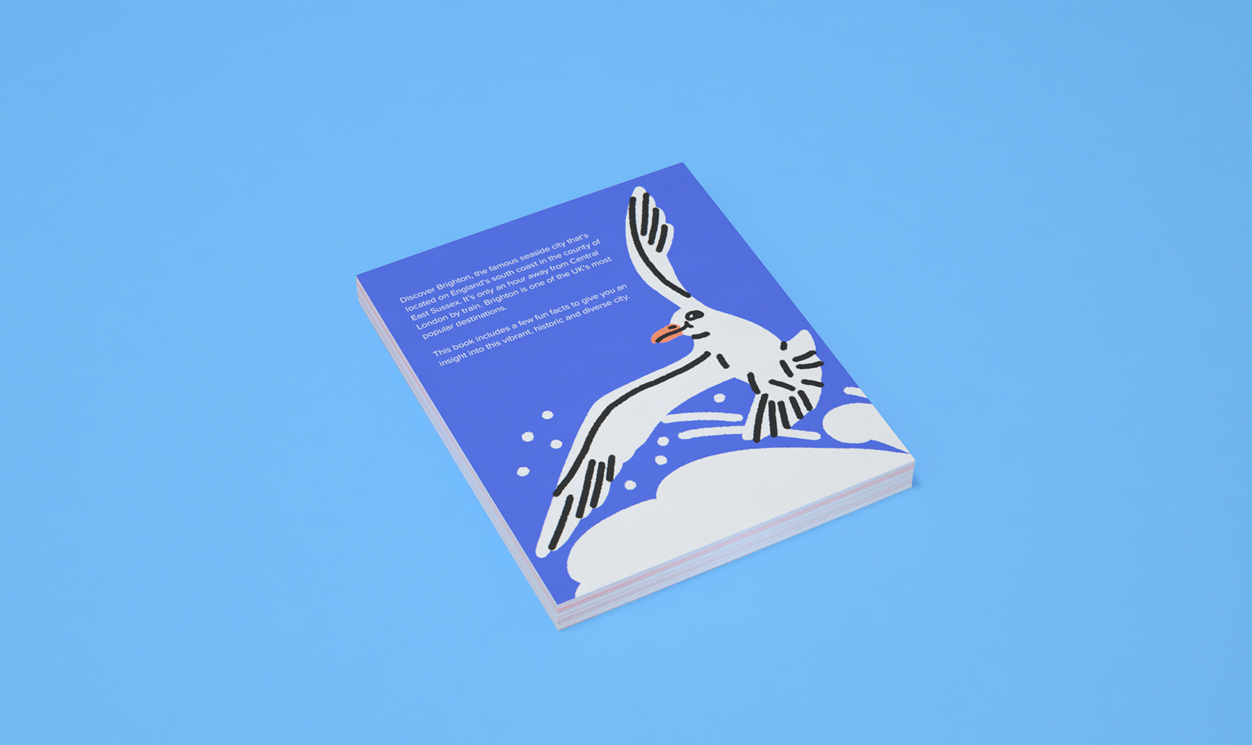 Brighton in a glimpse – An illustrated book project on Behance (14).jpg