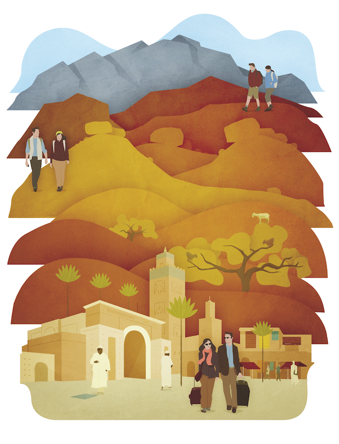 Editorial Illustration book cover birds (7).png