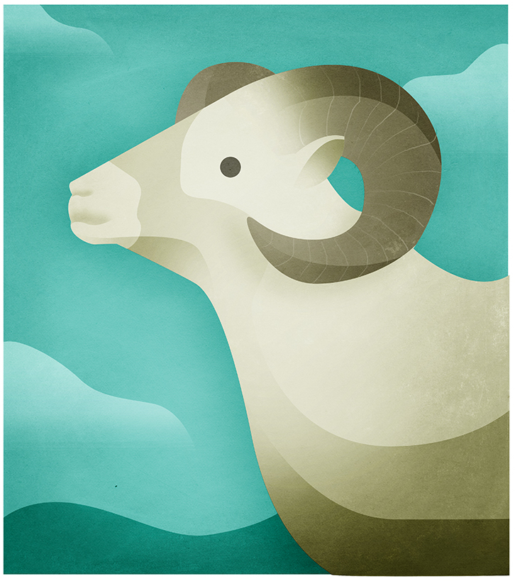freundin Horoscope andrew lyons illustrations women animals zodiac (4).jpg