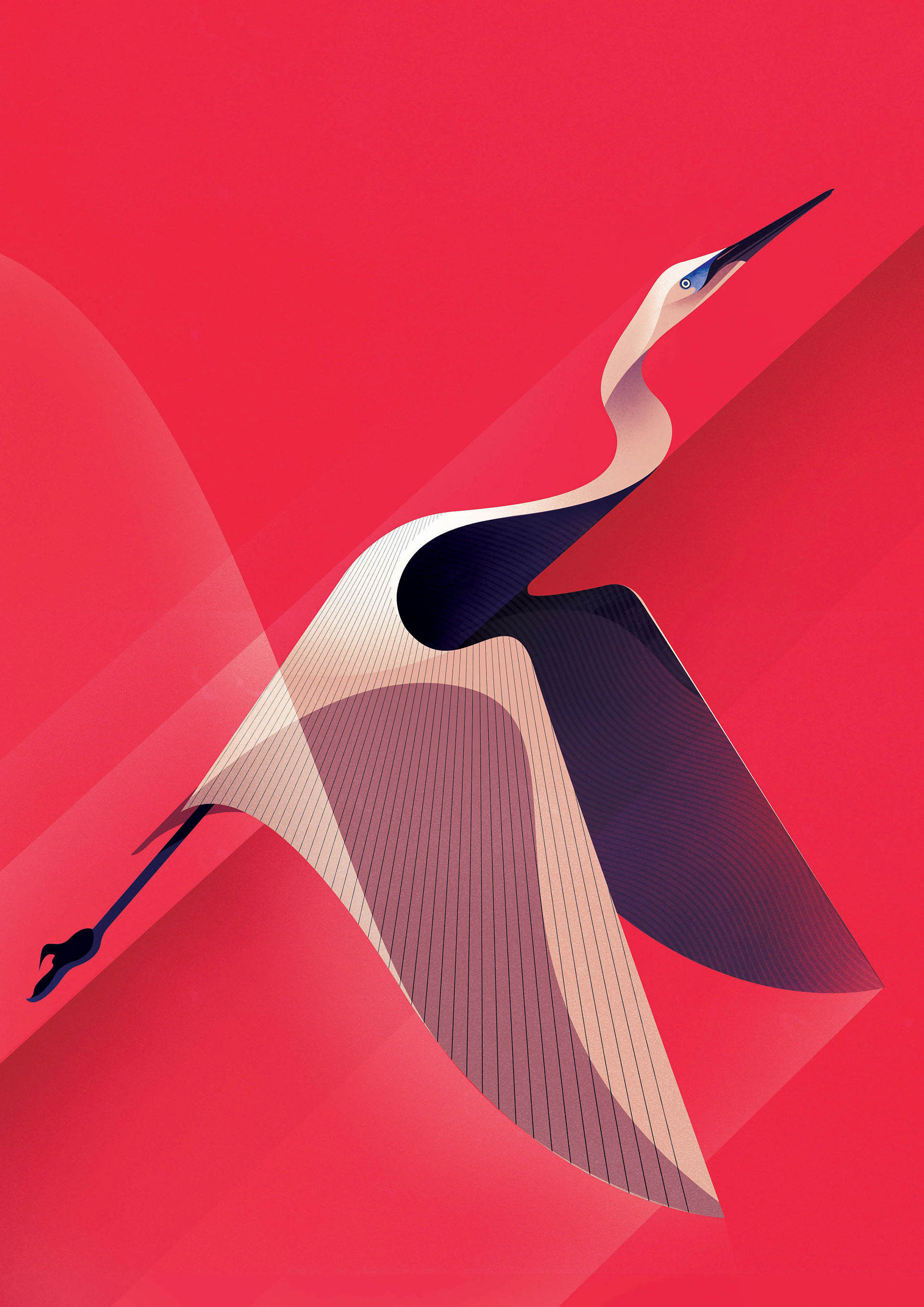 animals art bear bird birds colour contemporary deer graphic Nature (2).jpg