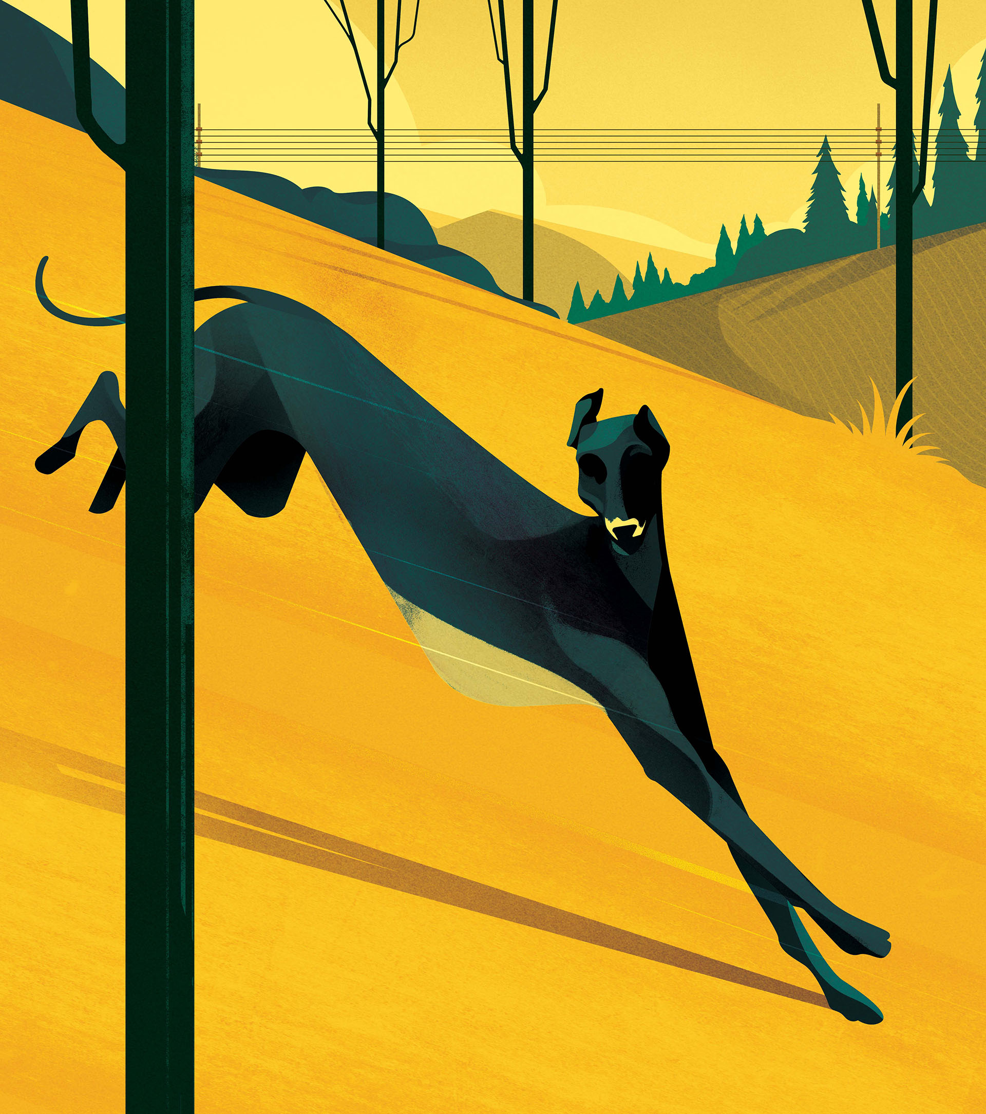 ILLUSTRATION  design dogs animals Nature Landscape Dynamic speed fast.jpg