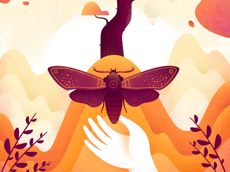 Fall has come nature yellow butterfly cicada print poster autumn textu.jpg