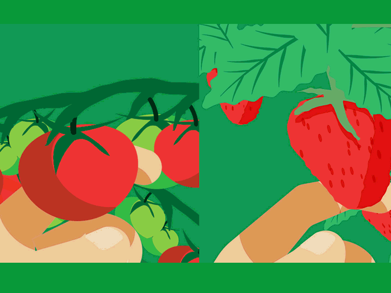 animation  motiongraphics illustrations (6).gif