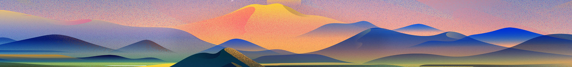 bird BLACKFINSCH british landscapes Coast Finch ILLUSTRATION  Investme.jpg