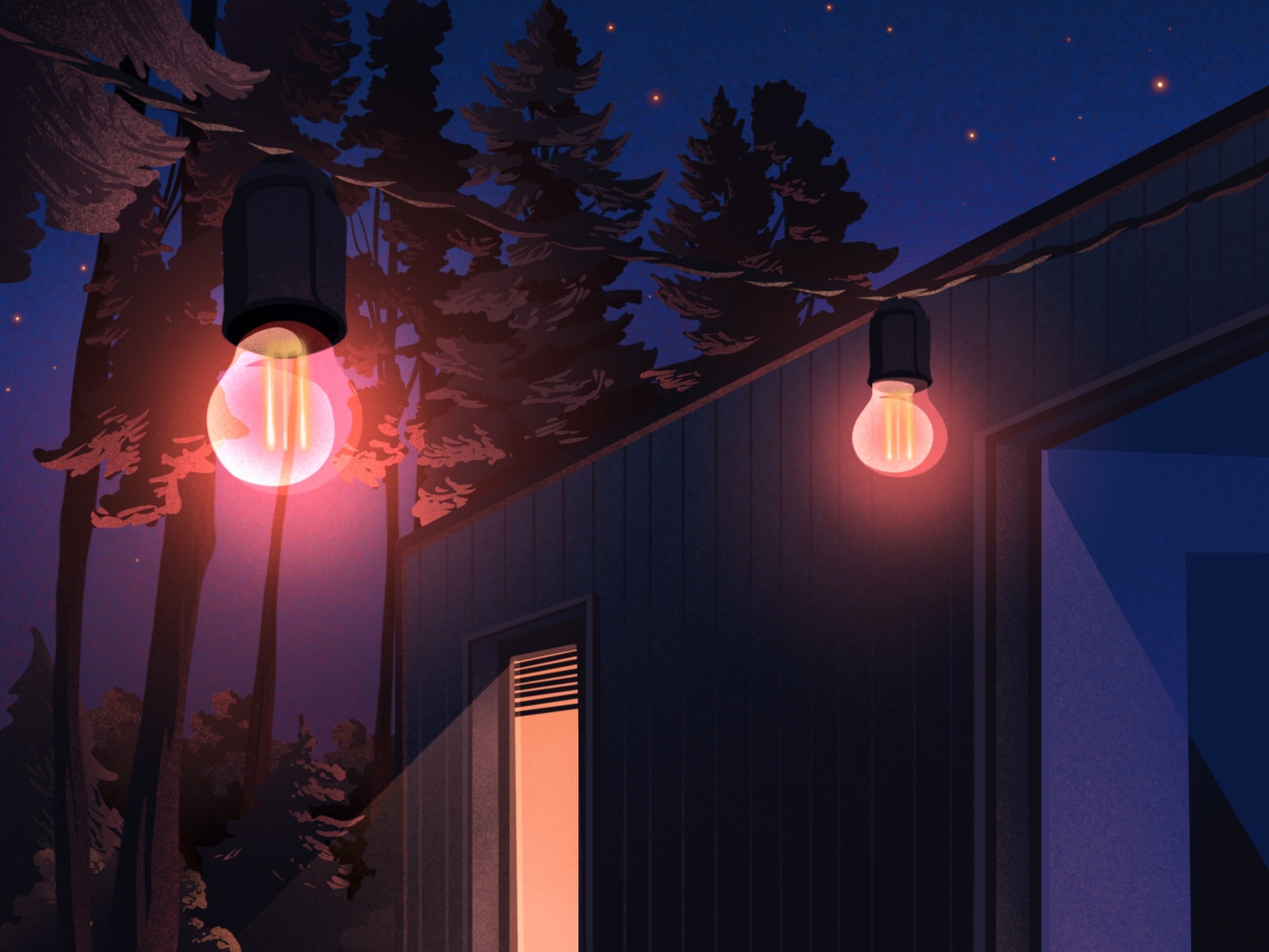 Light illustration art shine nature night sky spruce bulbs light.jpg