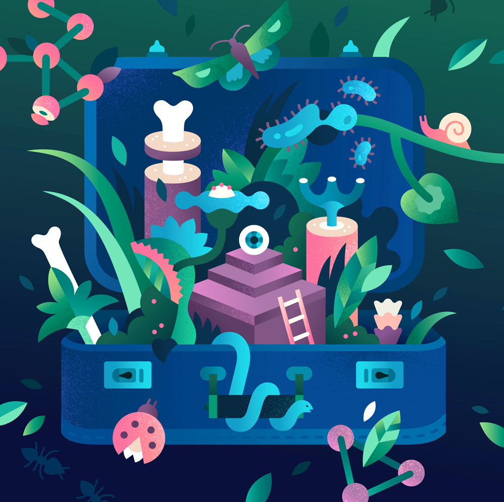 jungle Magazine illustration Geometrical vector art vector suitcase pl.jpg