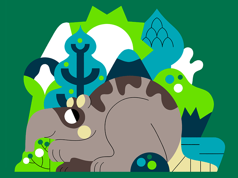 ANIMAL character design flat vector color palette jhonny núñez ilustra.png