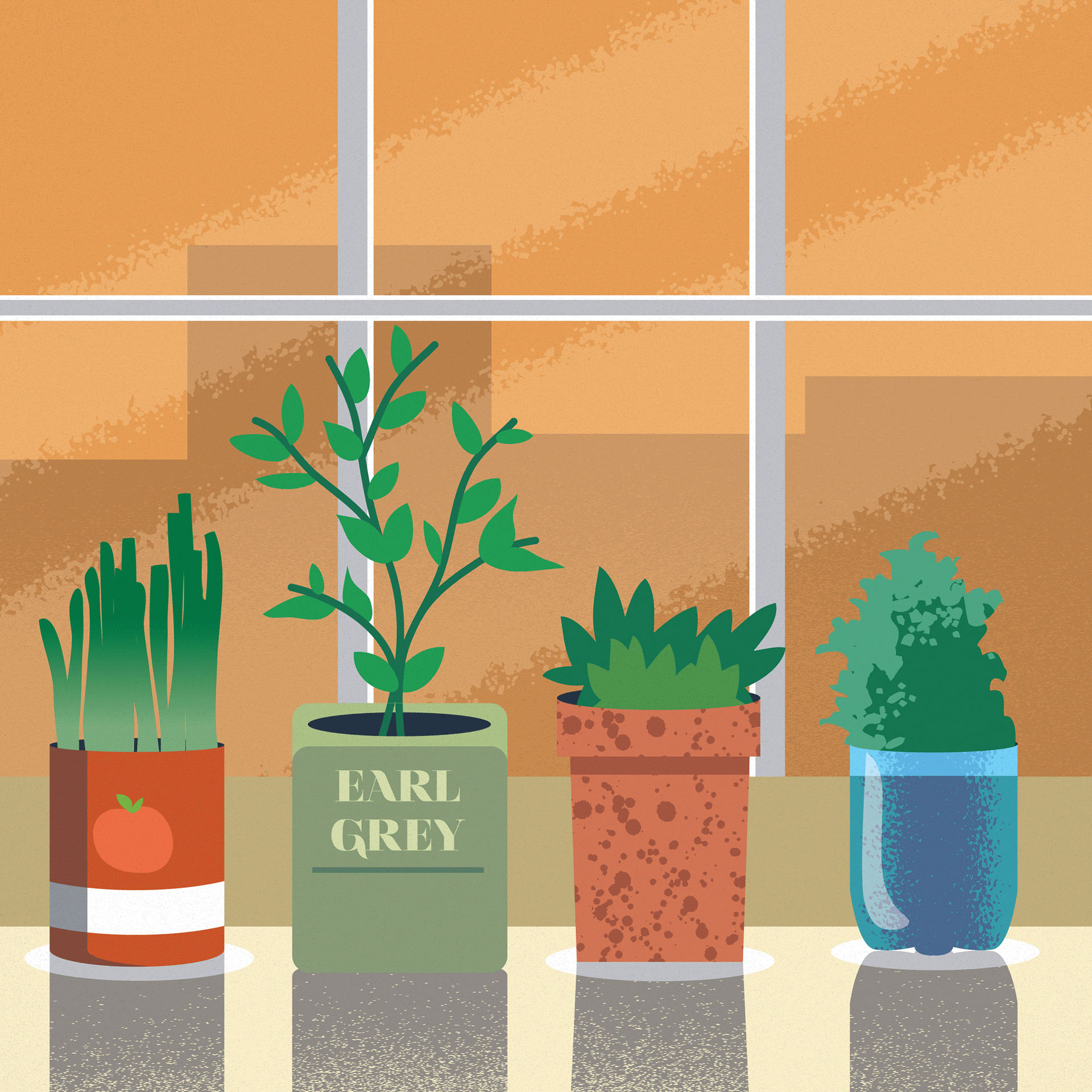 Image may contain houseplant, cartoon and flowerpot.jpg