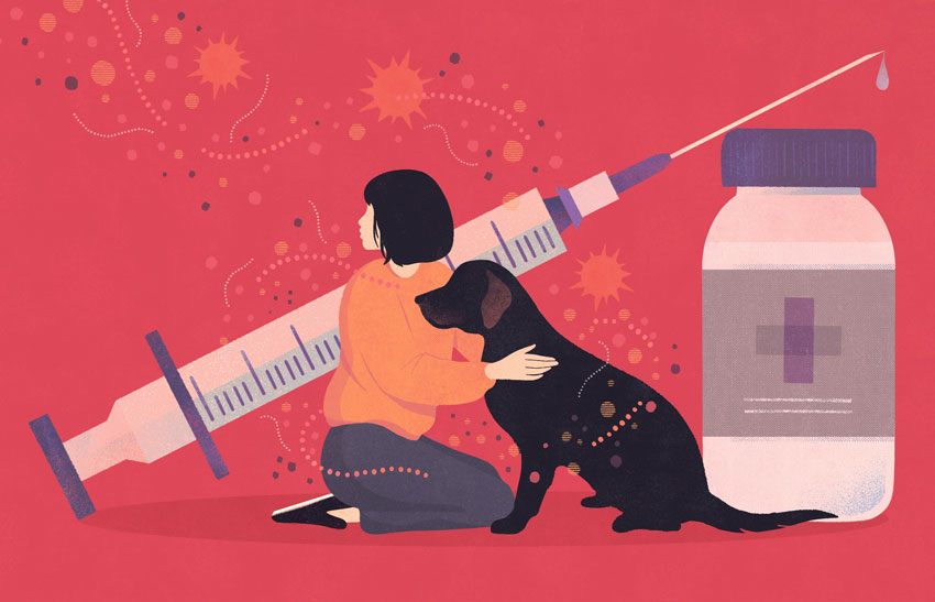 animals dogs medicine pet owners pets vaccine vet.jpg