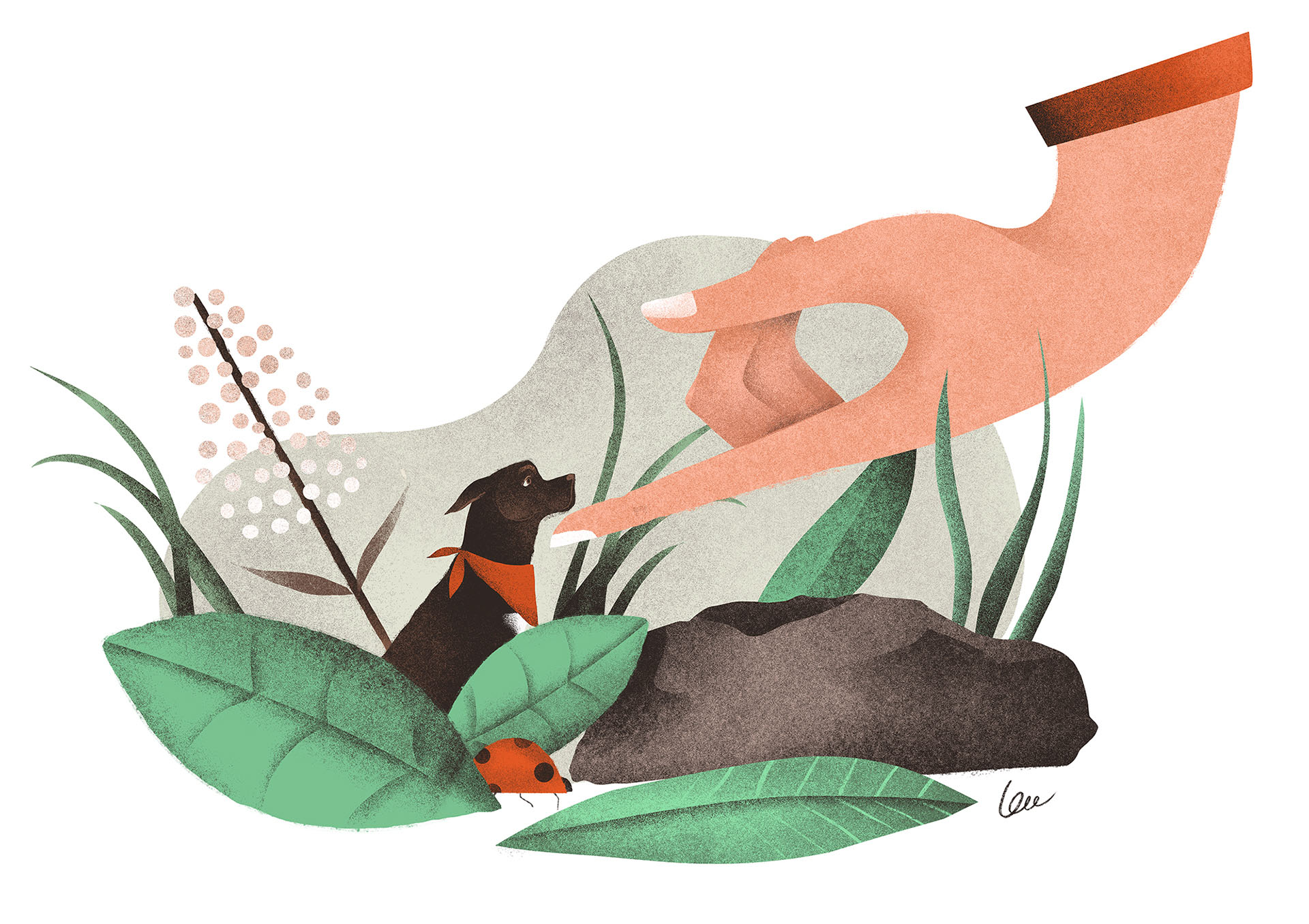 illustrated imaginary dogs dog animal scale surreal Daydream dreams pl.jpg