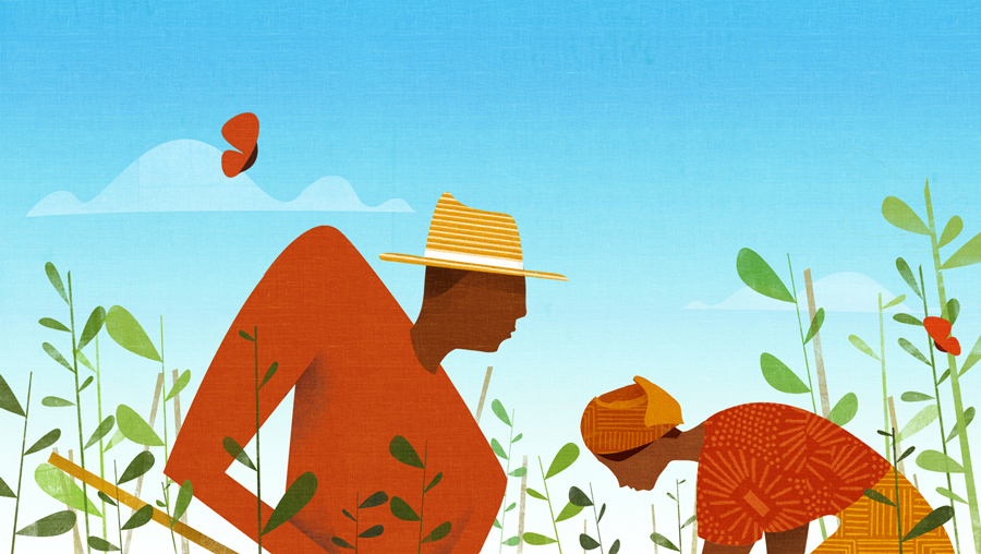illustrated africa explainer video motion rural families people shapes.jpg
