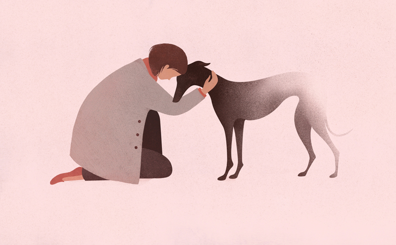pets dogs euthanasia Pet Loss pet owner grief loss death veterinarian.jpg