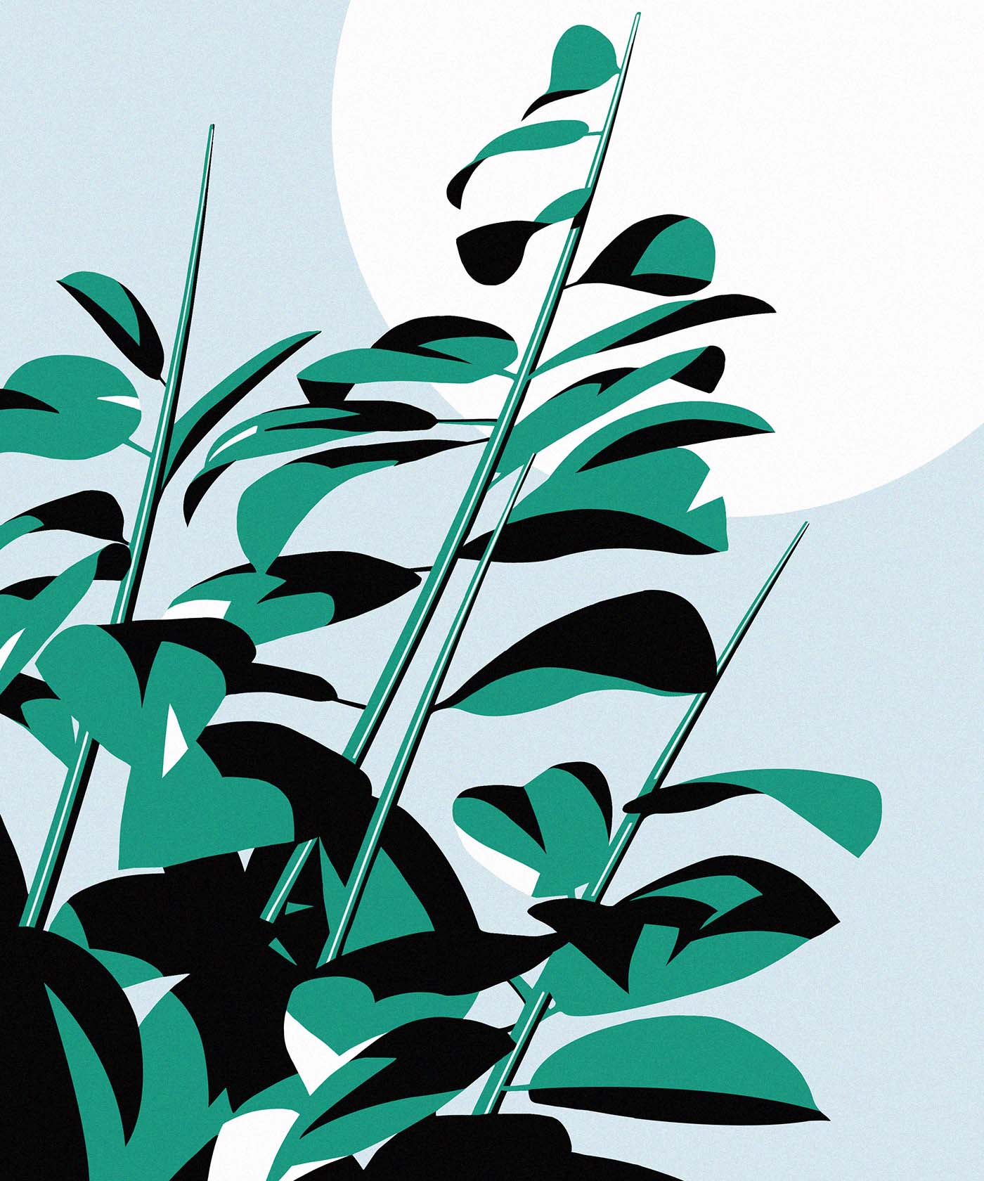 flower minimal Nature Plant vegetable Vegetarian women summer Manna po (3).jpg