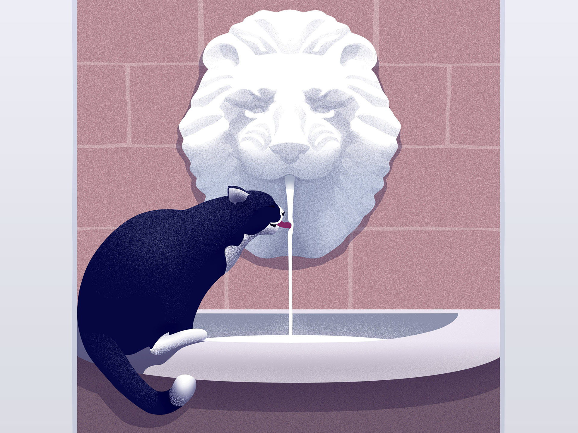 Cats on Behance.jpg