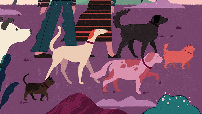 editorial dog walk geraldine sy magazine publication (2).jpg