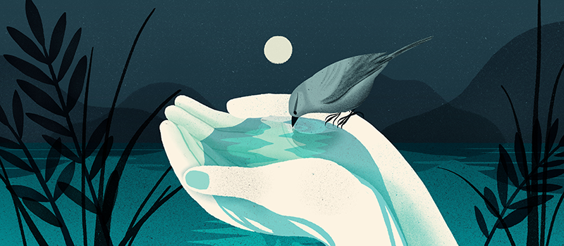 ILLUSTRATION  Geraldine sy art calendar water colorful (5).png