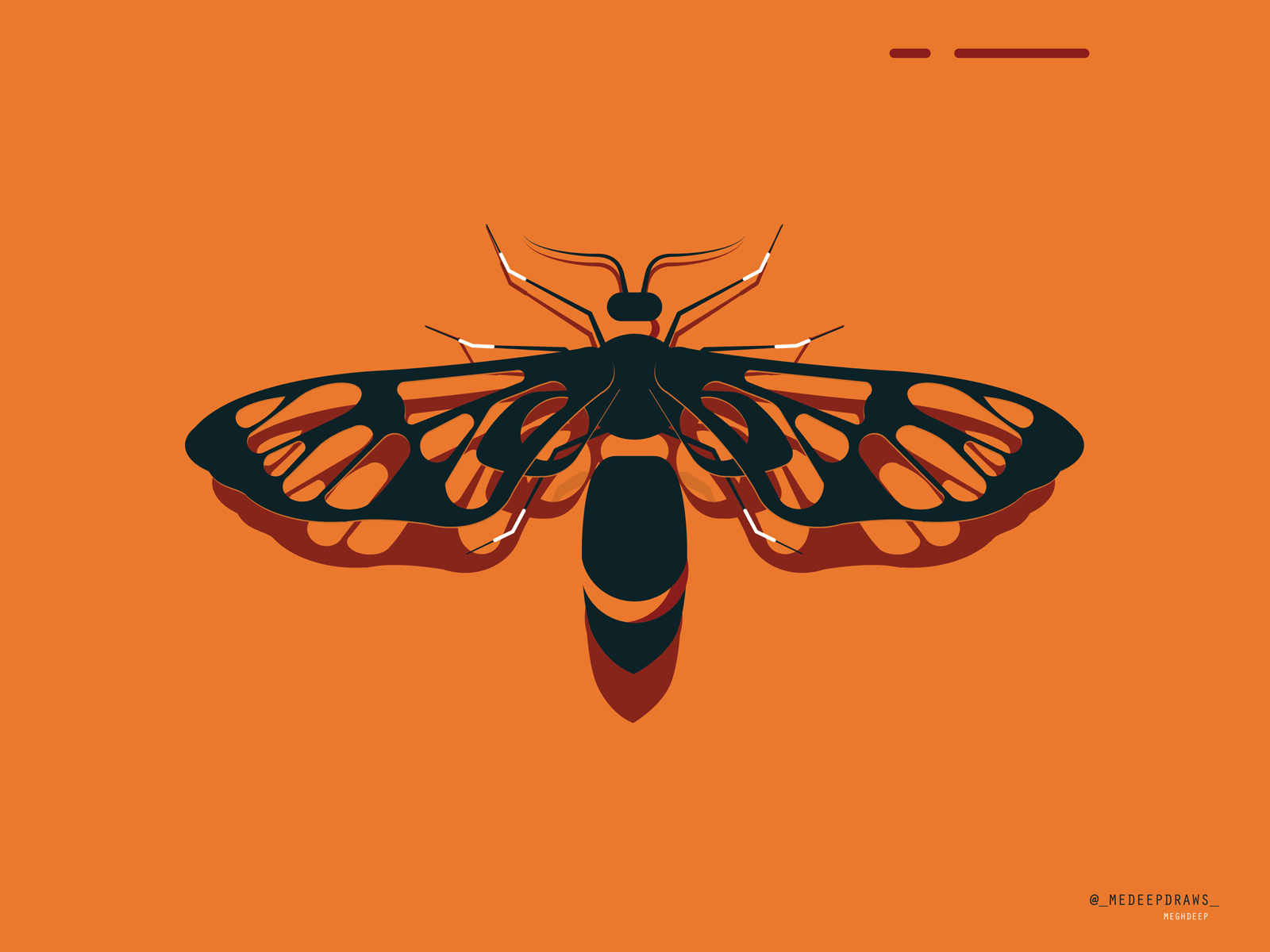 CREATURE geometric modern wall fly minimal illustration organic vector.png