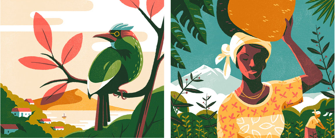 Archer Farms Coffee on Behance (9).jpg