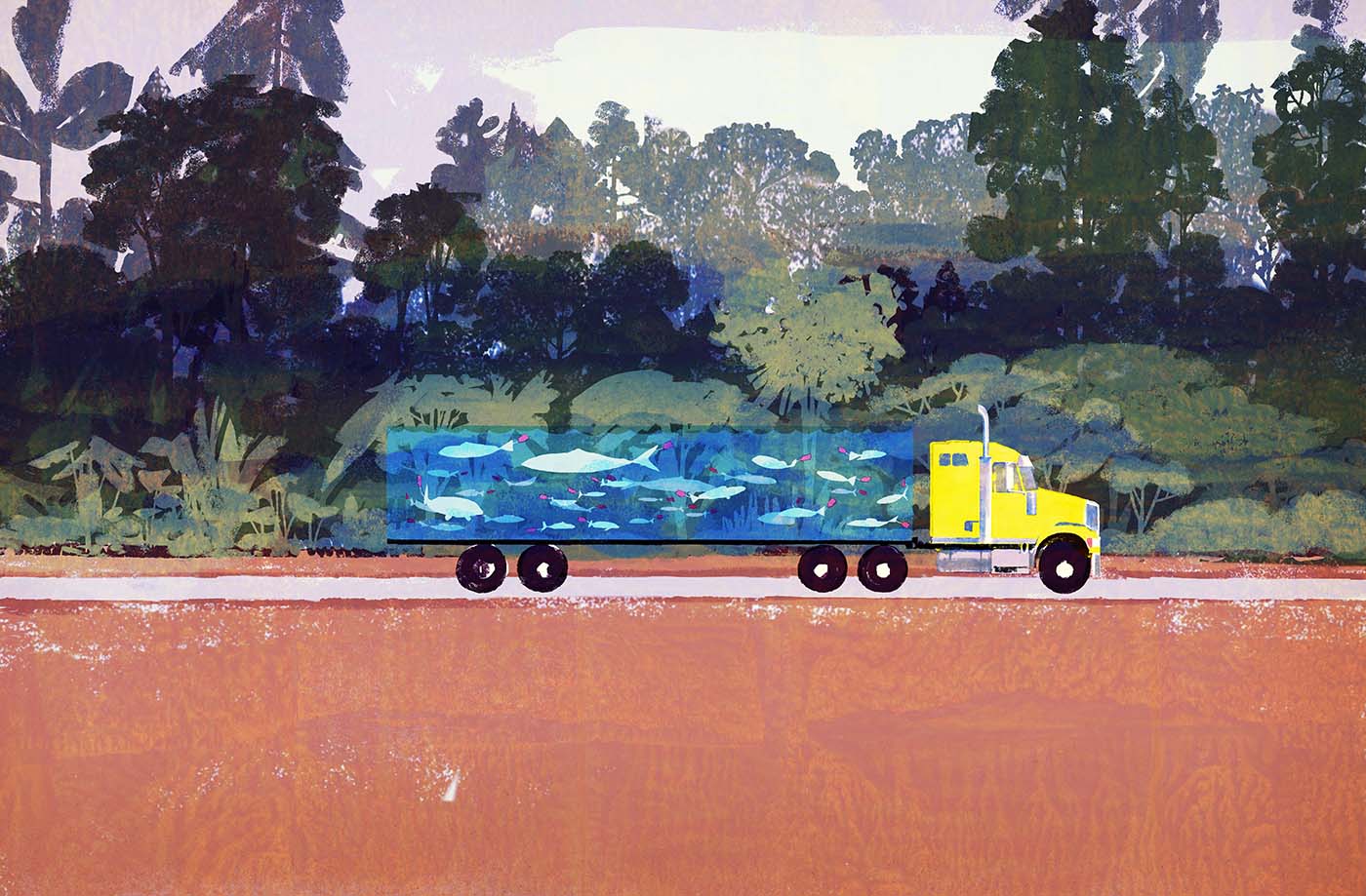 editorial Truck market Transparency.jpg