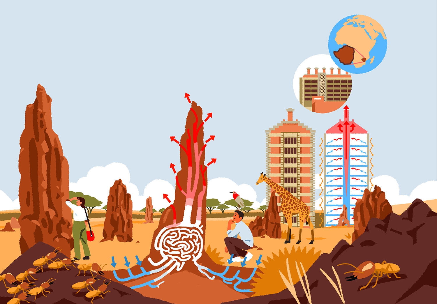 bio inspires Biomimetics biomimicry book childrens book ILLUSTRATION (3).jpg