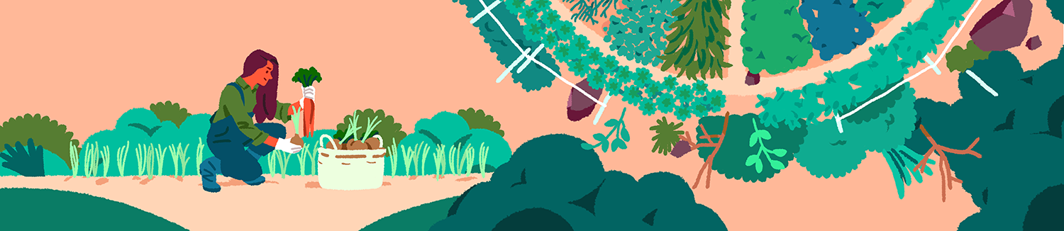 bio inspires Biomimetics biomimicry book childrens book ILLUSTRATION (4).png