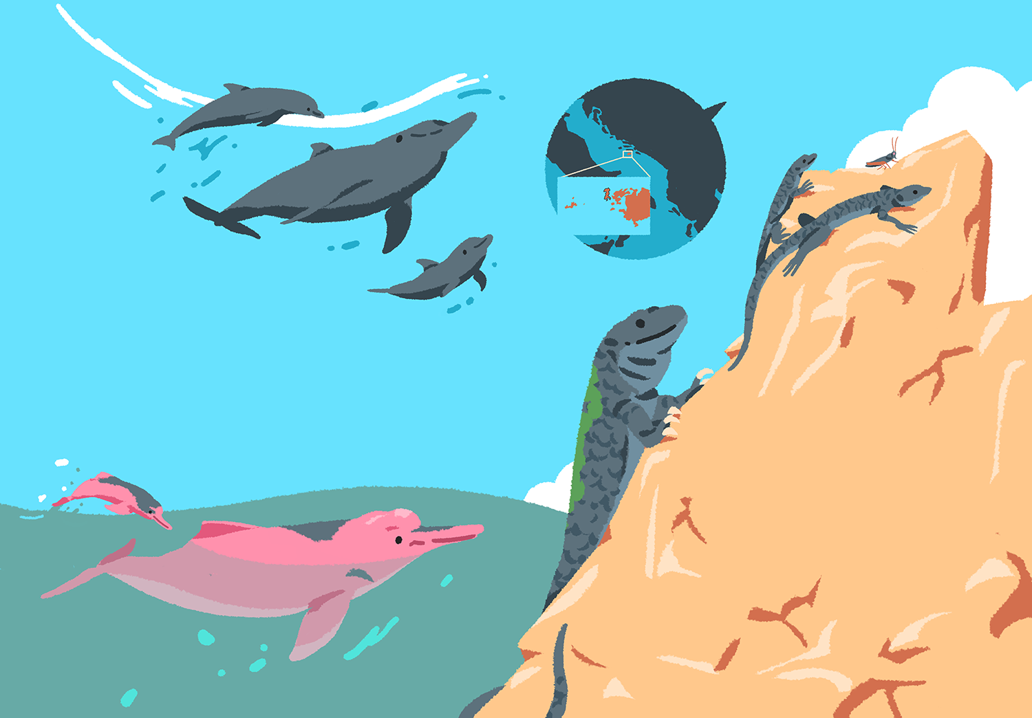 bio inspires Biomimetics biomimicry book childrens book ILLUSTRATION (5).png