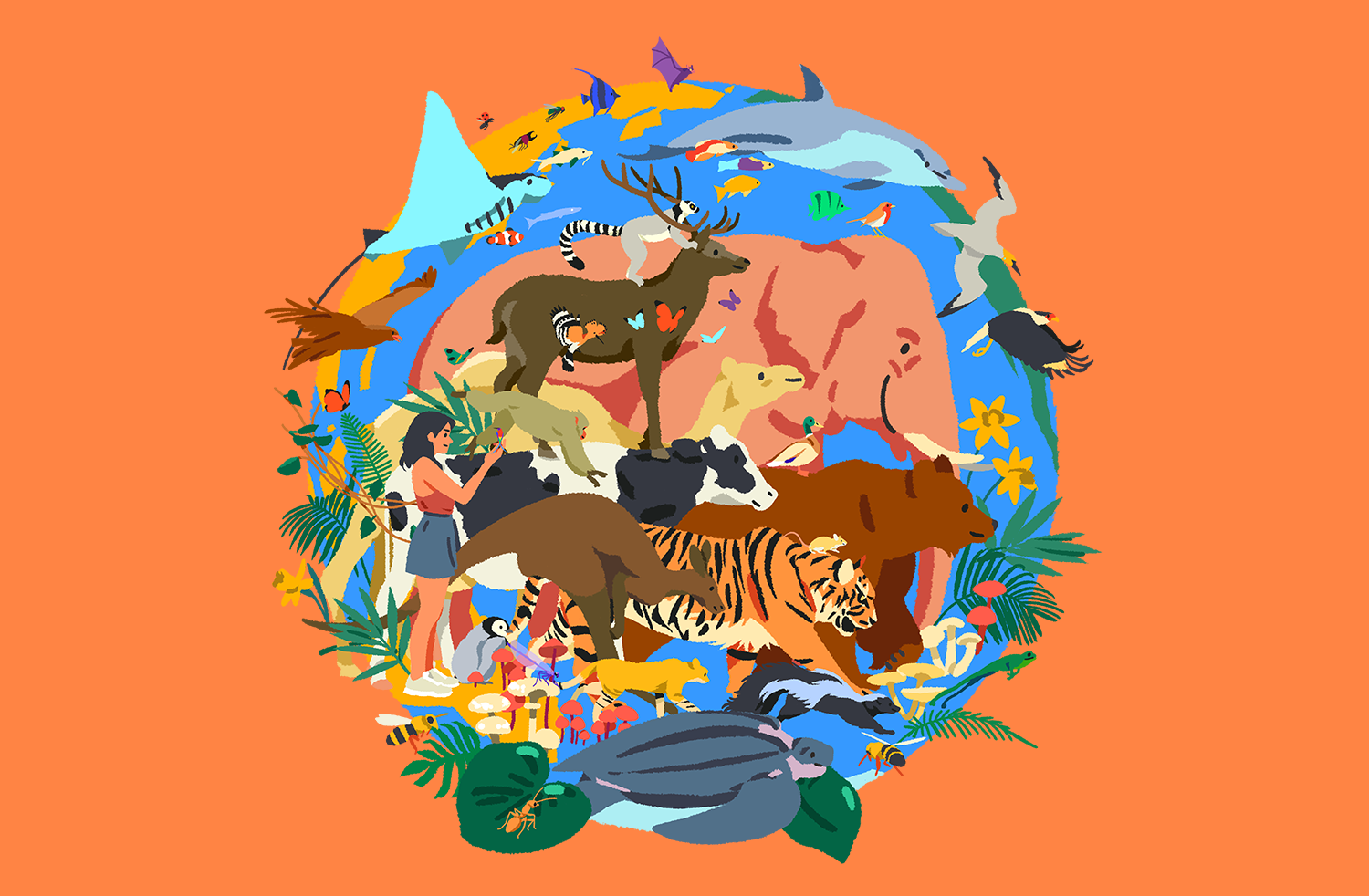 bio inspires Biomimetics biomimicry book childrens book ILLUSTRATION.png