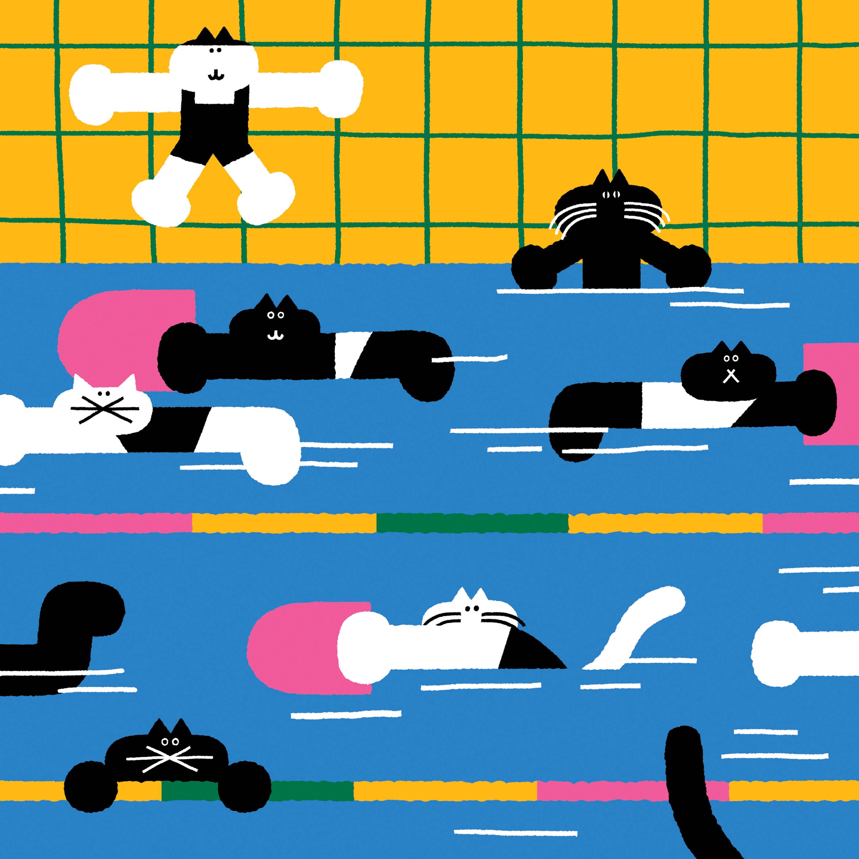 calendar Cat dog (4).jpg