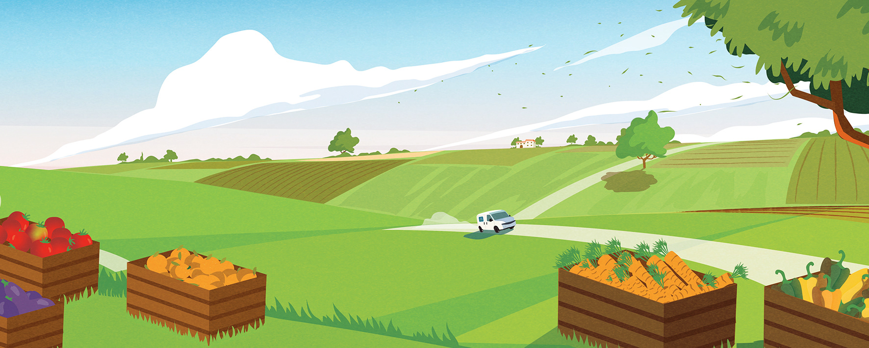 discount italian Landscape (2).jpg