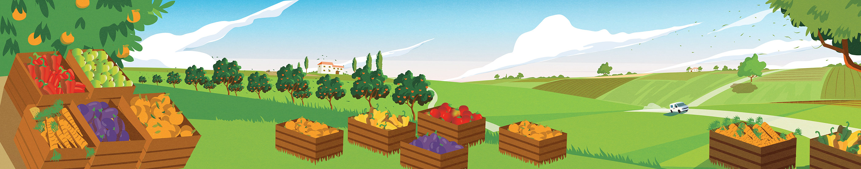 discount italian Landscape.jpg