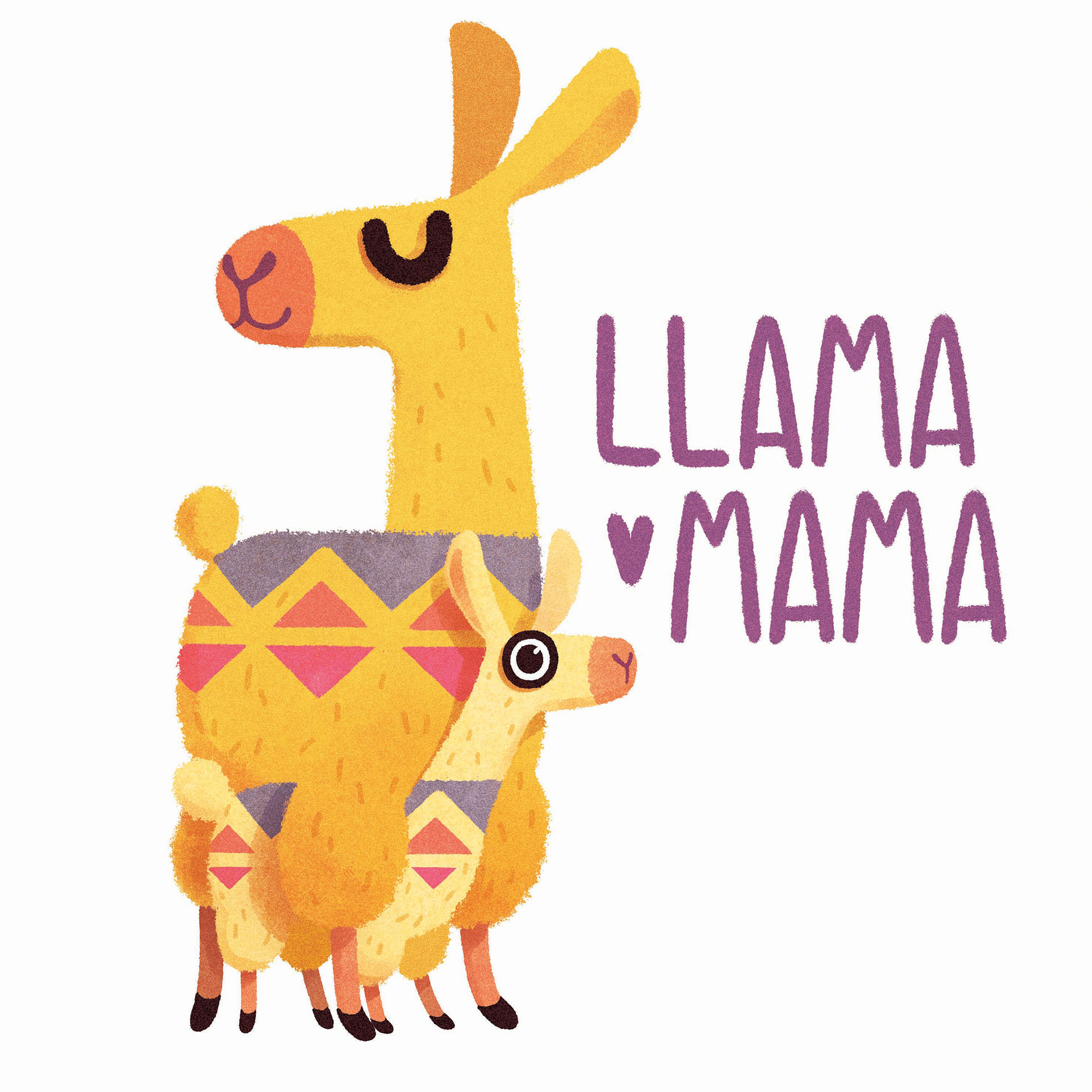llama animal (3).jpg