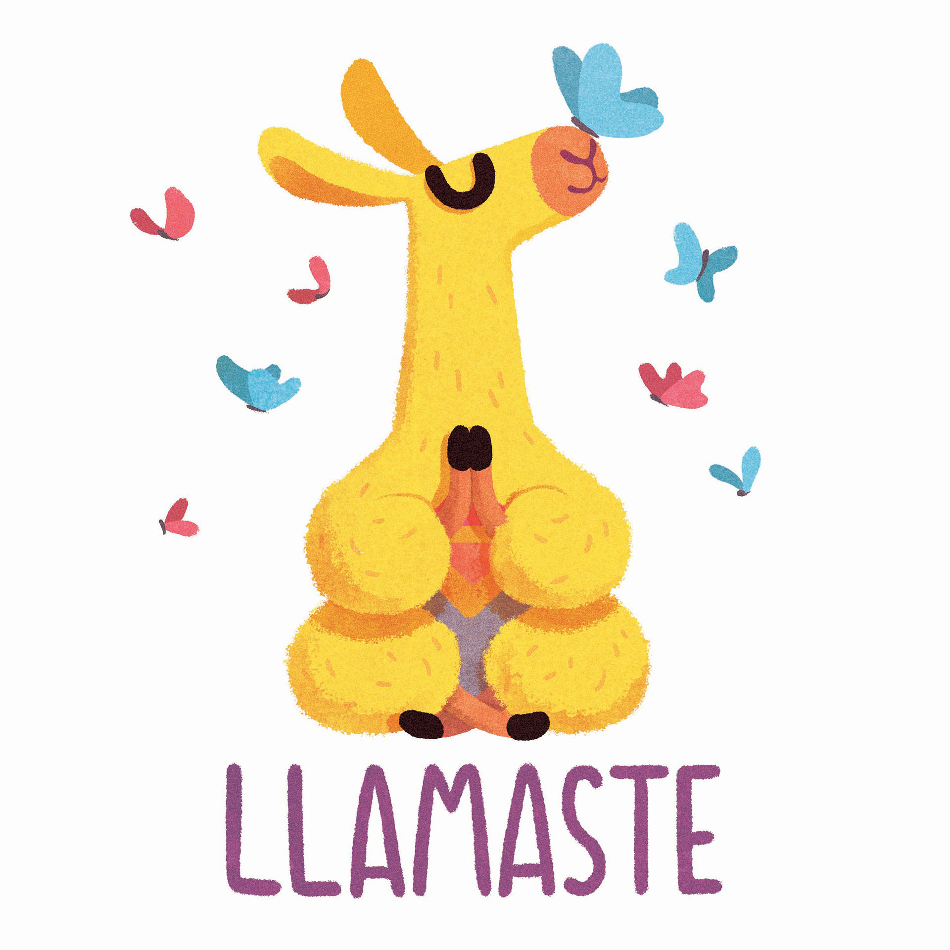 llama animal (7).jpg
