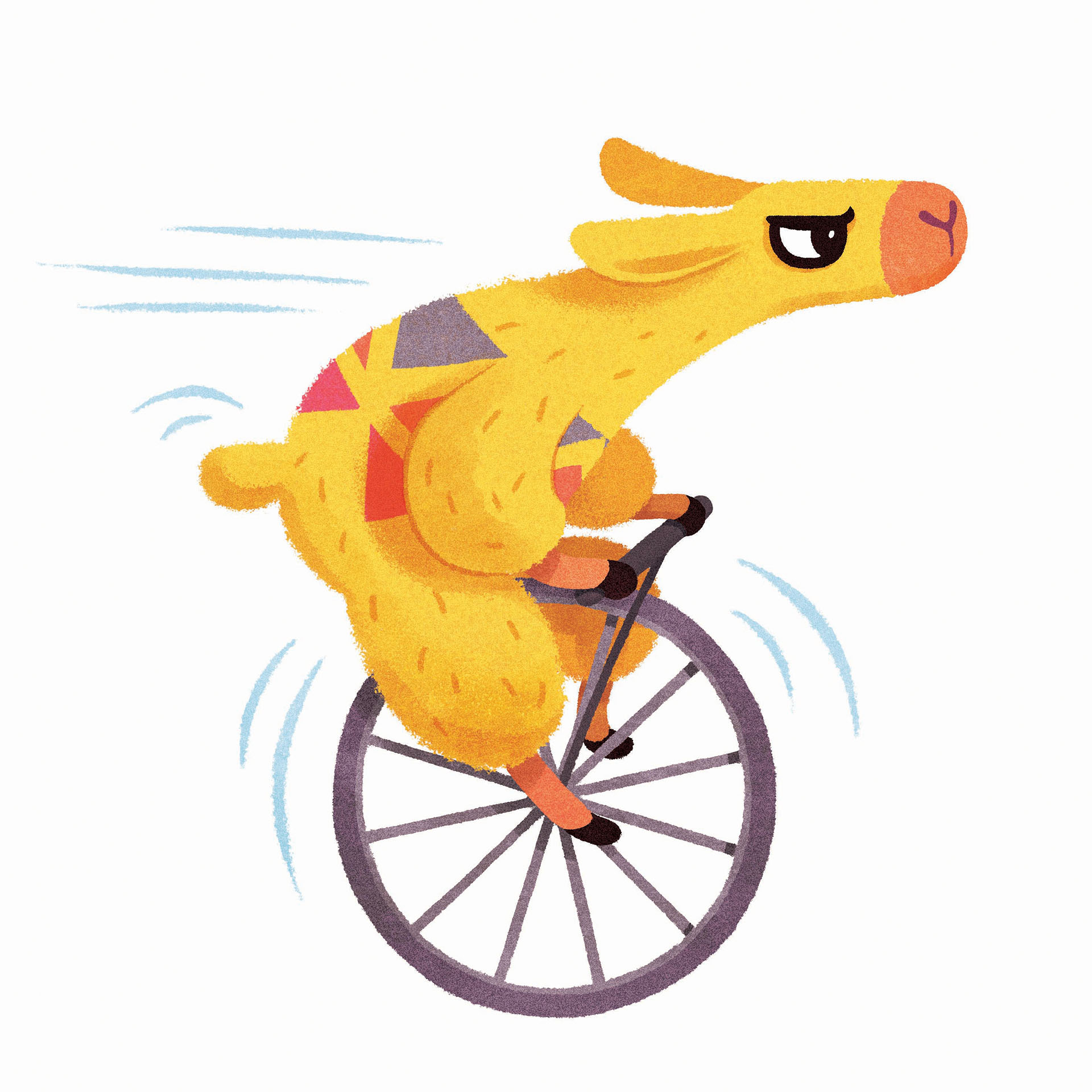 llama animal (6).jpg