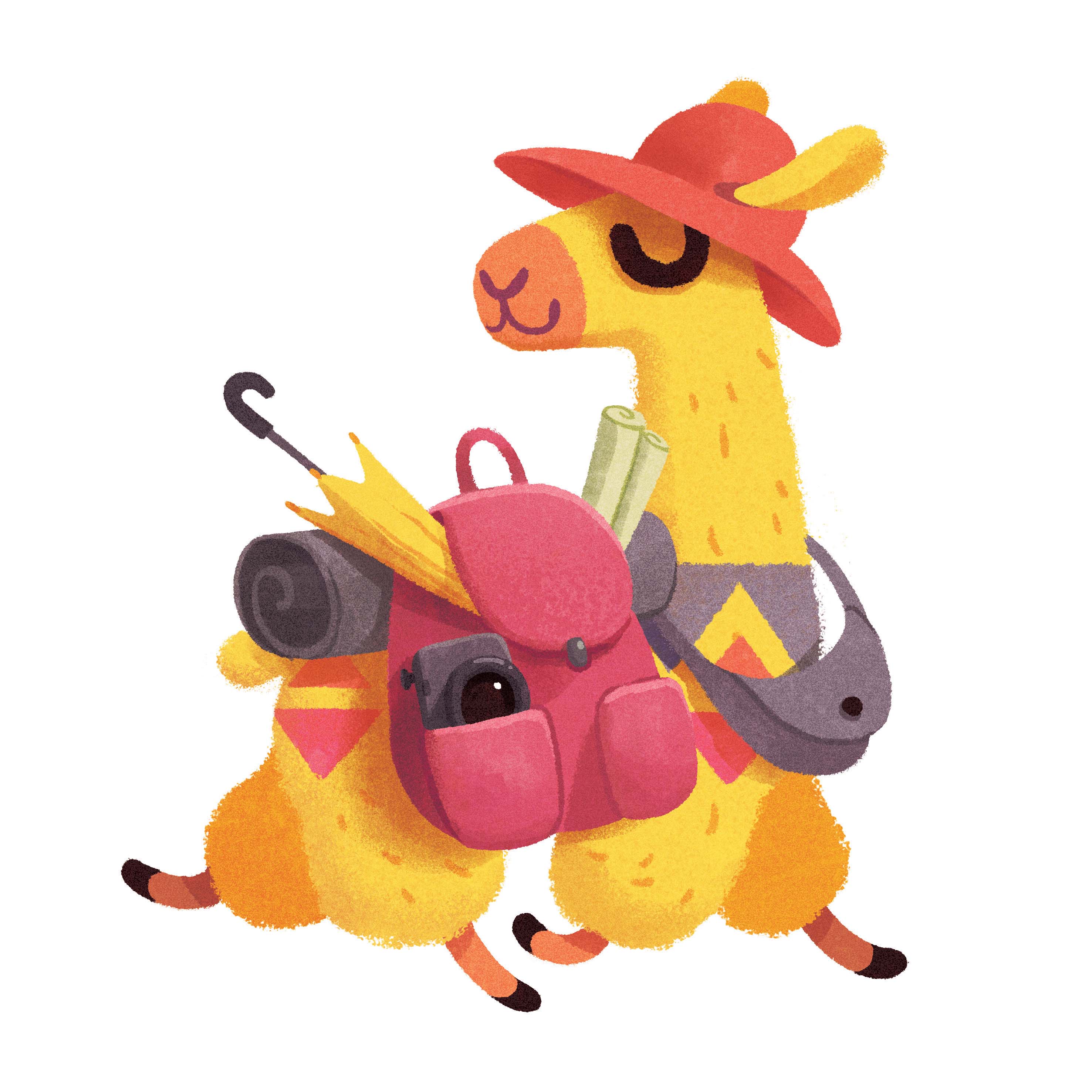 llama animal (10).jpg