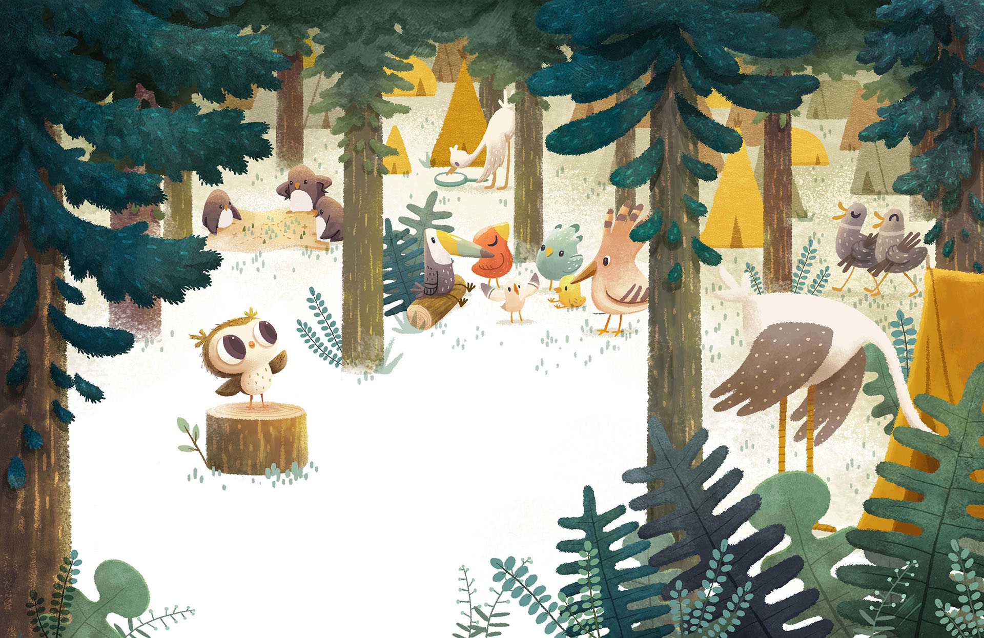 odo odothe owl birds camp friends owl forest childrens book book pictu (3).jpg