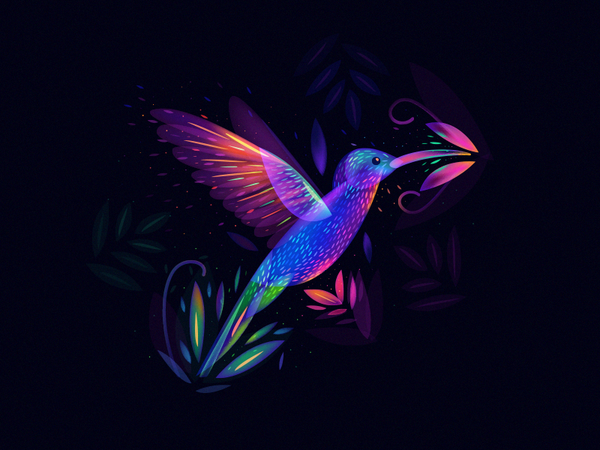 Colibri World bird light colibri.png
