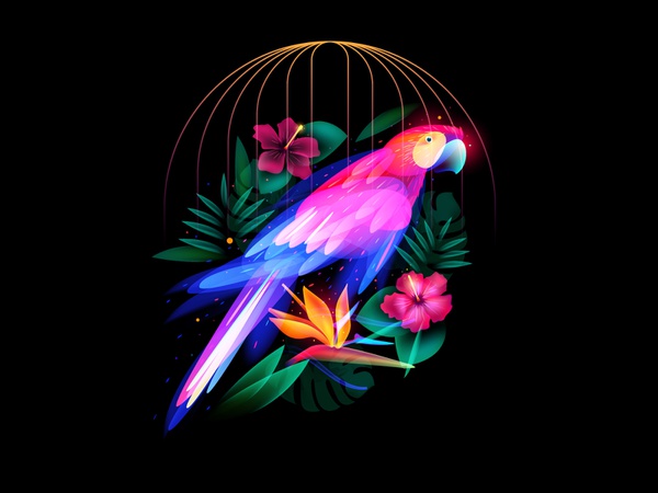 Fantasy Parrot cage bird jungle flower behance set adobeillustator ill.jpg