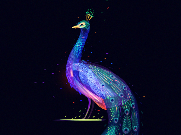 Fantasy Peacock space water wave bird light peacock.png