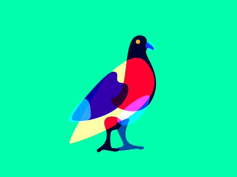 Fing Pigeon fun pigeon.gif