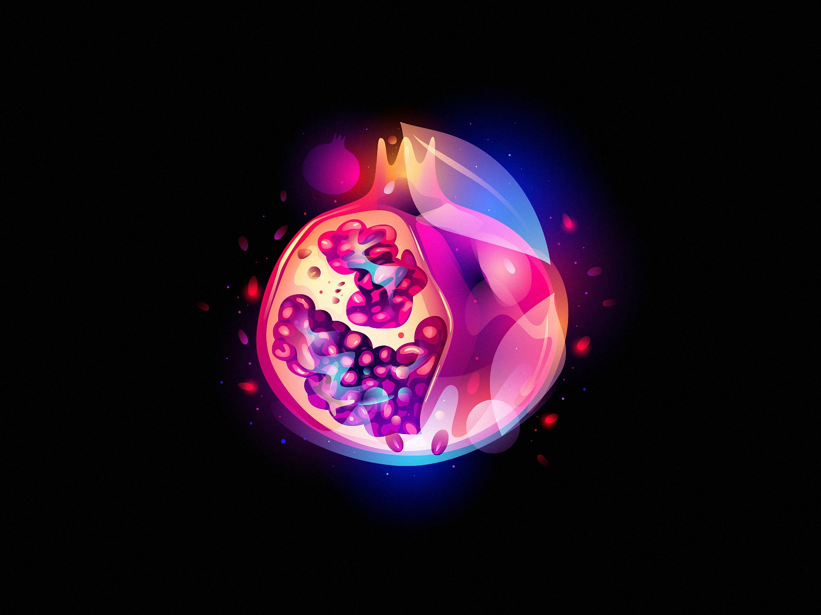 pomegranate digital art colorful fantasy light adobe illustrator illus.jpg