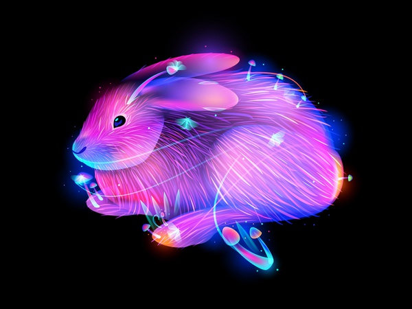 Rabbit brain forest mushroom illustration rabbit.jpg