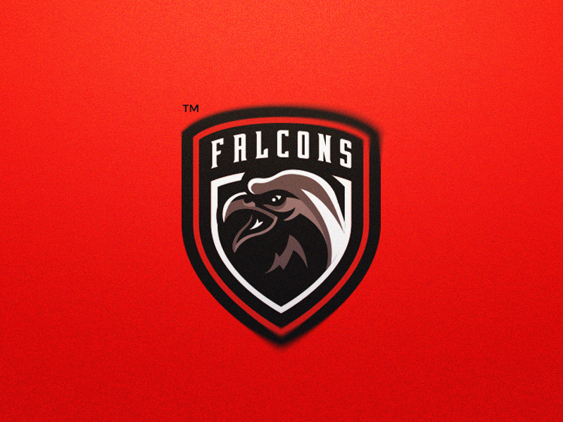 Falcons Mascot Logo bird logo malmoobranding malmoo graphic design ill.gif