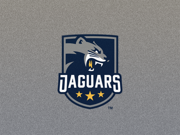 Jaguar Mascot Logo sport esport logo sport logo animal logo illustrato.png