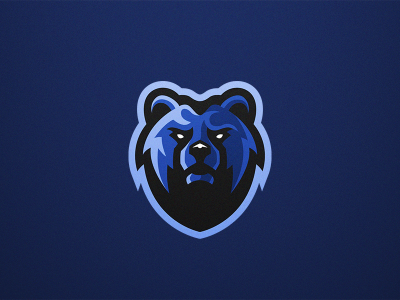 TeedyBears Mascot Logo Sport logo teddybear blue icon logo illustrator.gif