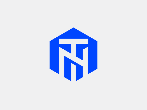 TN - Monogram cube investment design icon illustration logo vector bra (2).png