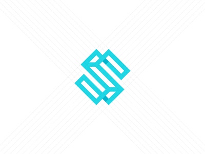 S monogram letter icon geometry branding minimal brand symbol mark log.jpg