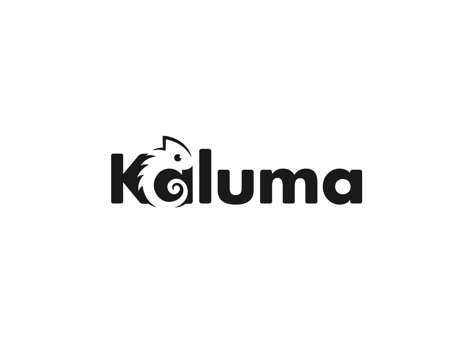 Chameleon Logo  kaluma  logo designer clever logo identity logomark ma.jpg
