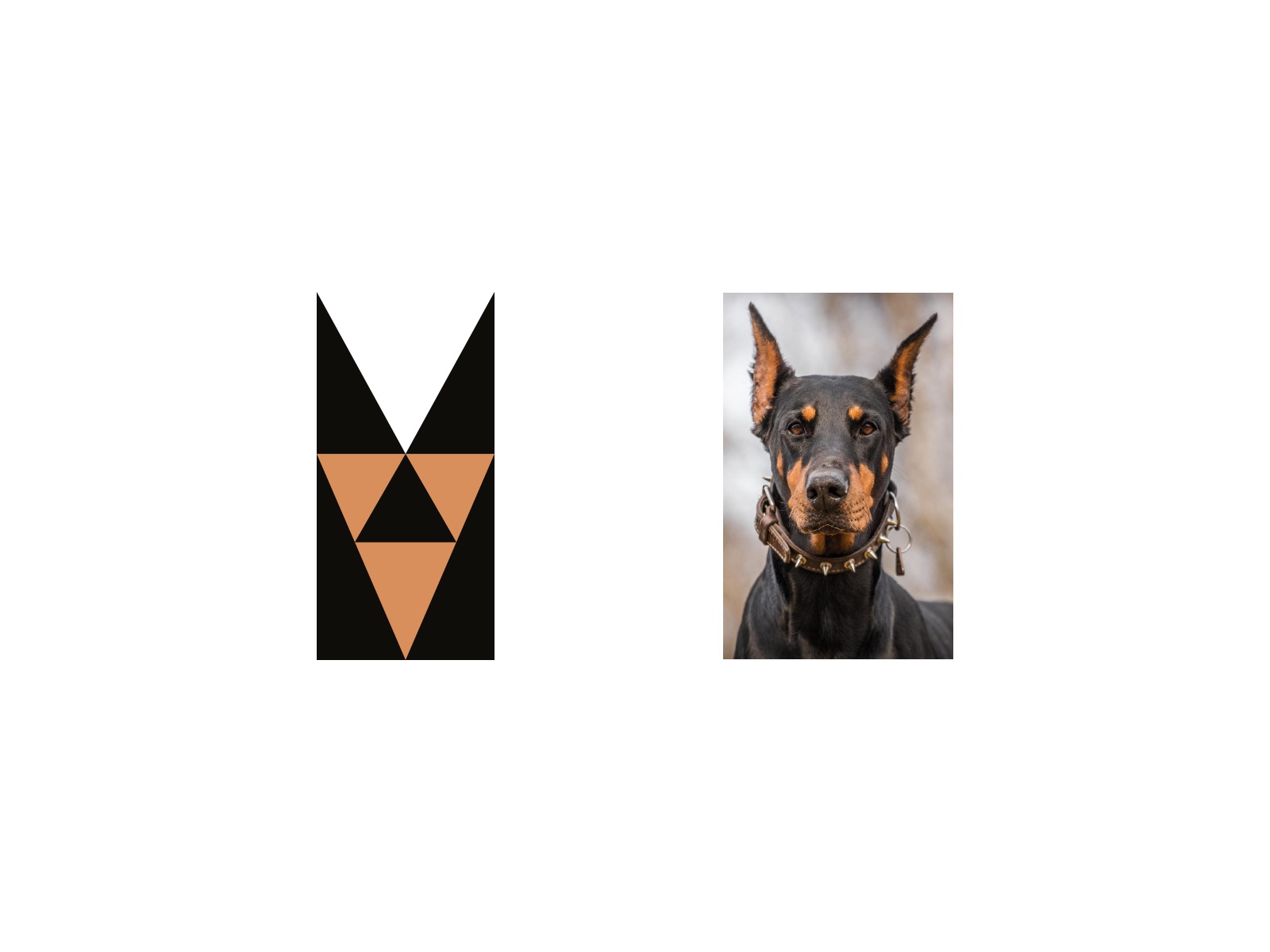 Doberman Pinscher   Dog Logo animal logo pet logo designer logo design.jpg
